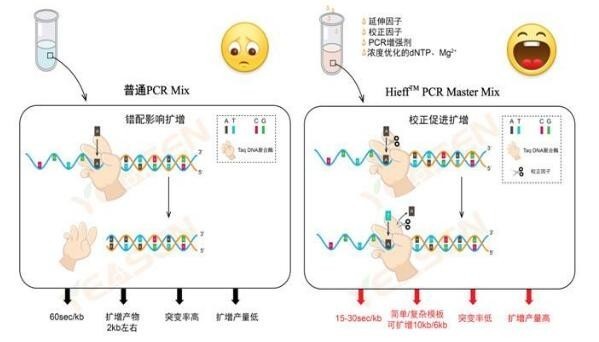 鸭瘟病毒（DPV）荧光PCR试剂盒
