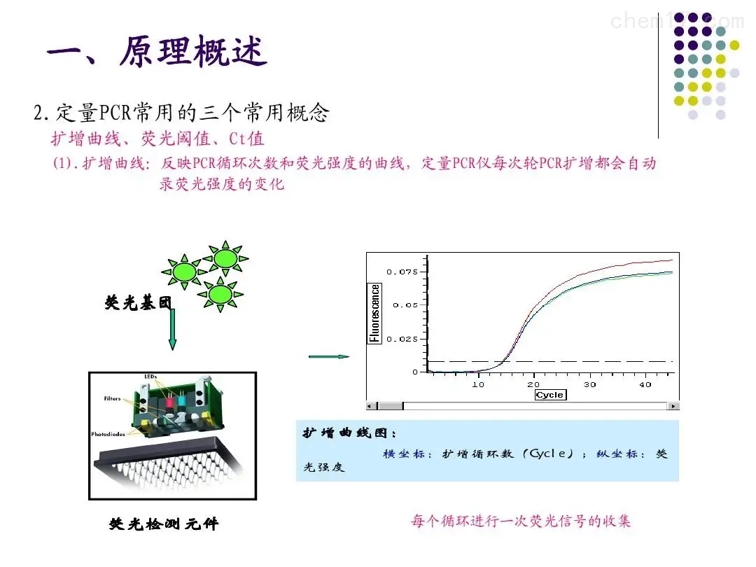 副鸡嗜血杆菌（HPG）荧光PCR试剂盒